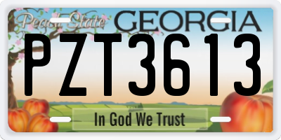 GA license plate PZT3613
