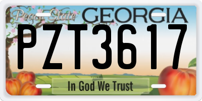 GA license plate PZT3617