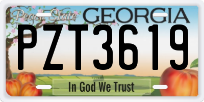 GA license plate PZT3619