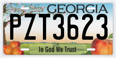 GA license plate PZT3623