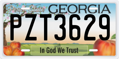 GA license plate PZT3629