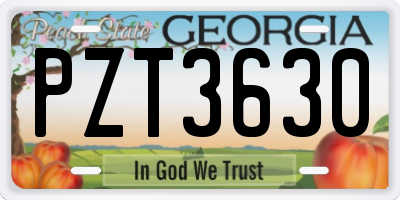 GA license plate PZT3630