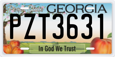 GA license plate PZT3631