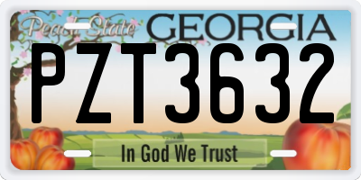 GA license plate PZT3632
