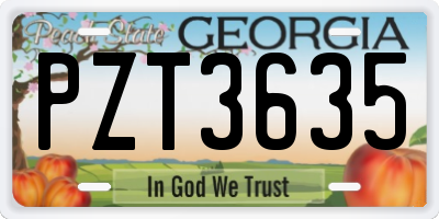 GA license plate PZT3635