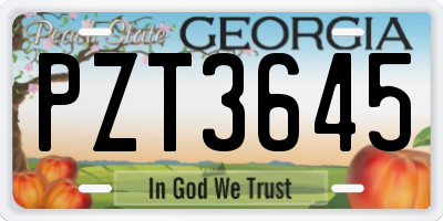 GA license plate PZT3645