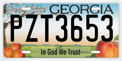 GA license plate PZT3653