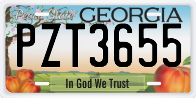 GA license plate PZT3655