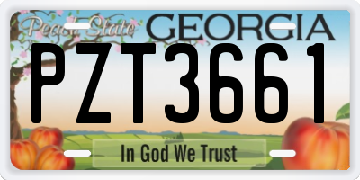 GA license plate PZT3661