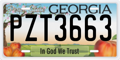 GA license plate PZT3663