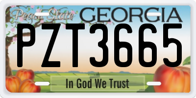 GA license plate PZT3665