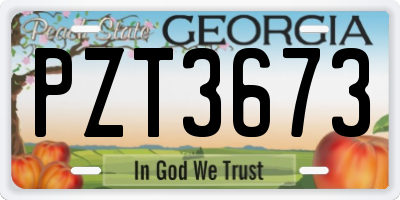 GA license plate PZT3673
