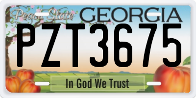 GA license plate PZT3675