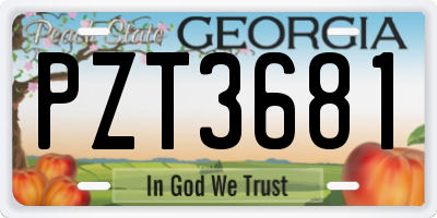 GA license plate PZT3681