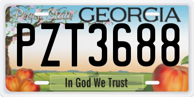 GA license plate PZT3688