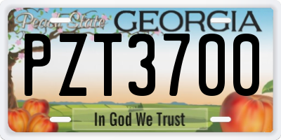 GA license plate PZT3700