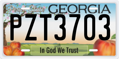 GA license plate PZT3703