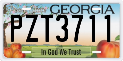GA license plate PZT3711