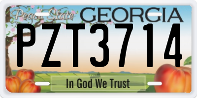 GA license plate PZT3714