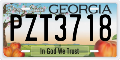 GA license plate PZT3718