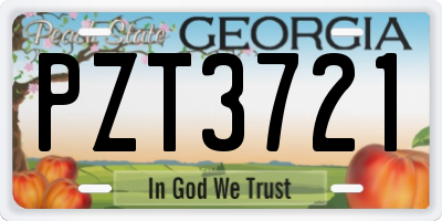 GA license plate PZT3721