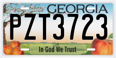 GA license plate PZT3723