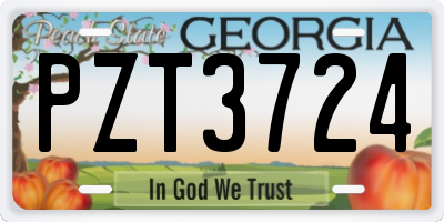 GA license plate PZT3724