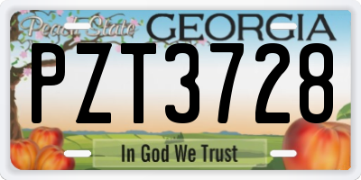 GA license plate PZT3728
