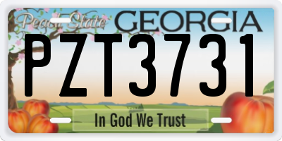 GA license plate PZT3731
