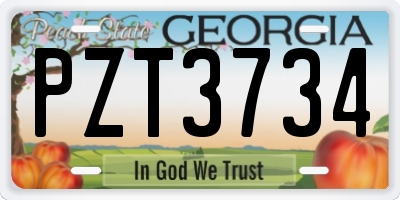 GA license plate PZT3734