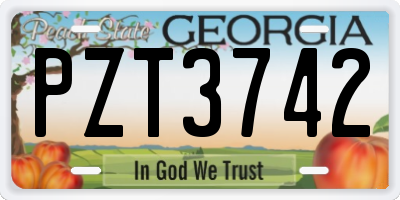 GA license plate PZT3742
