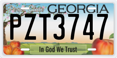 GA license plate PZT3747