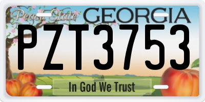 GA license plate PZT3753