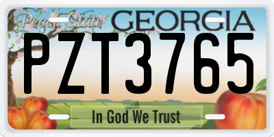 GA license plate PZT3765