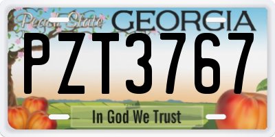 GA license plate PZT3767