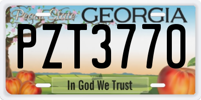 GA license plate PZT3770
