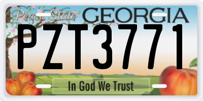 GA license plate PZT3771