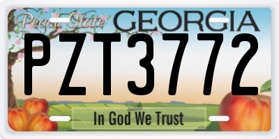 GA license plate PZT3772