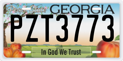GA license plate PZT3773