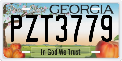 GA license plate PZT3779