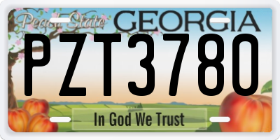 GA license plate PZT3780