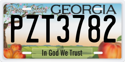 GA license plate PZT3782