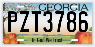 GA license plate PZT3786