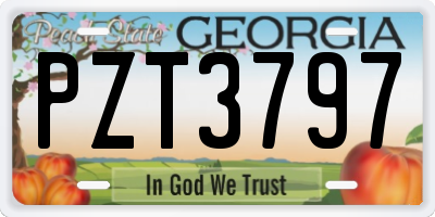 GA license plate PZT3797