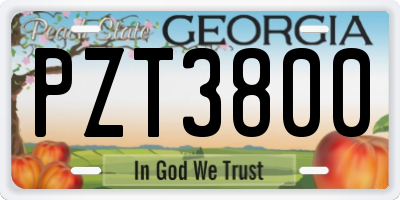GA license plate PZT3800