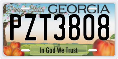 GA license plate PZT3808