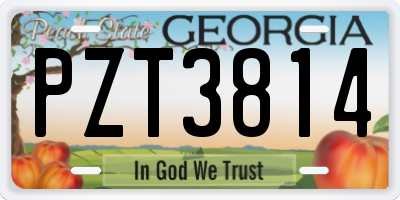 GA license plate PZT3814