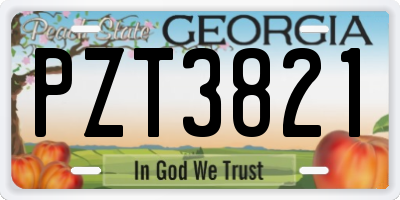 GA license plate PZT3821