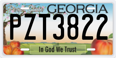 GA license plate PZT3822