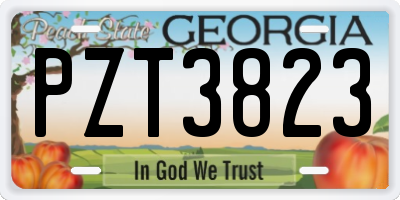 GA license plate PZT3823